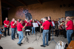 eric_berger_poprock_festival_fanfare-gilly-bursins_0728