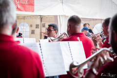 eric_berger_poprock_festival_fanfare-gilly-bursins_0738